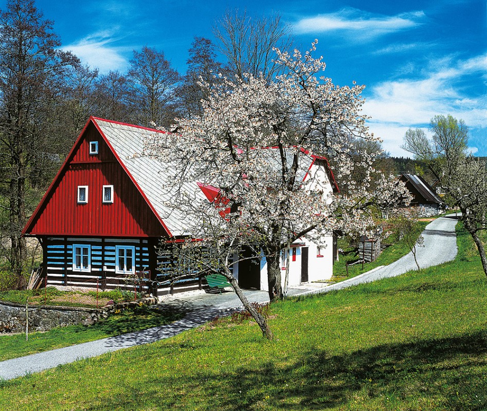 4_Borova__-782-1100-800-100-c