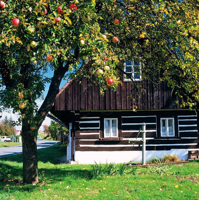 9_Cerv_hora_chalupa_kopie-787-1100-800-100-c