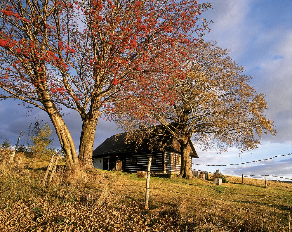 9a_Chalupa_Zdobnice_kopie-788-1100-800-100-c