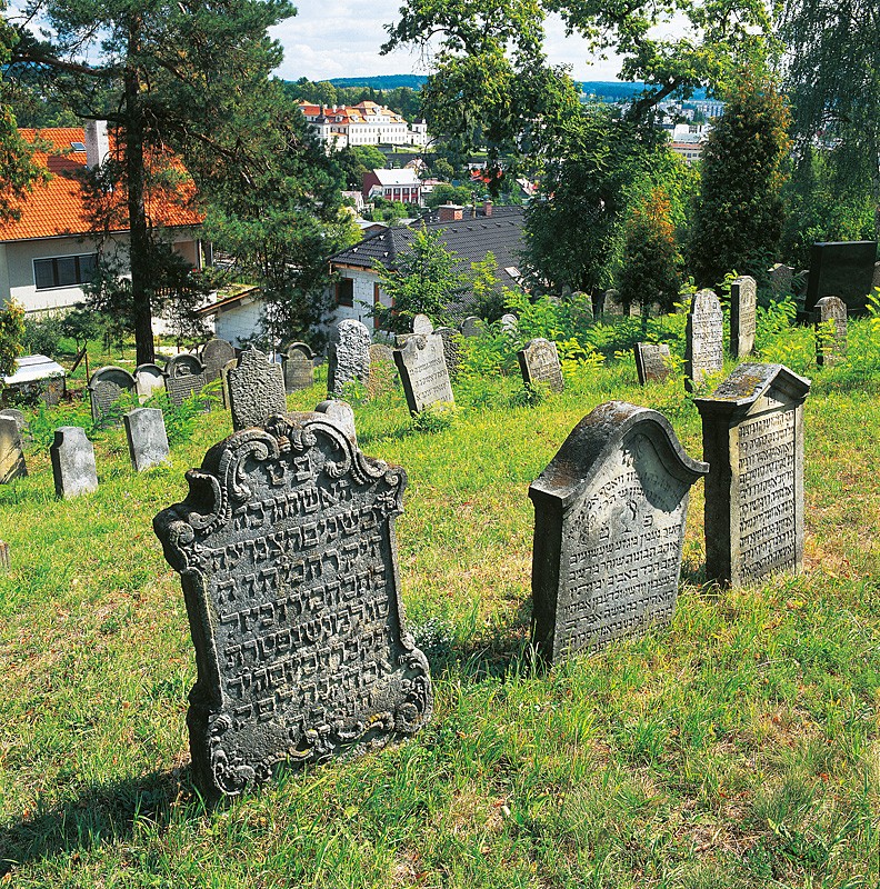 17_rychnov_kopie-810-1100-800-100-c