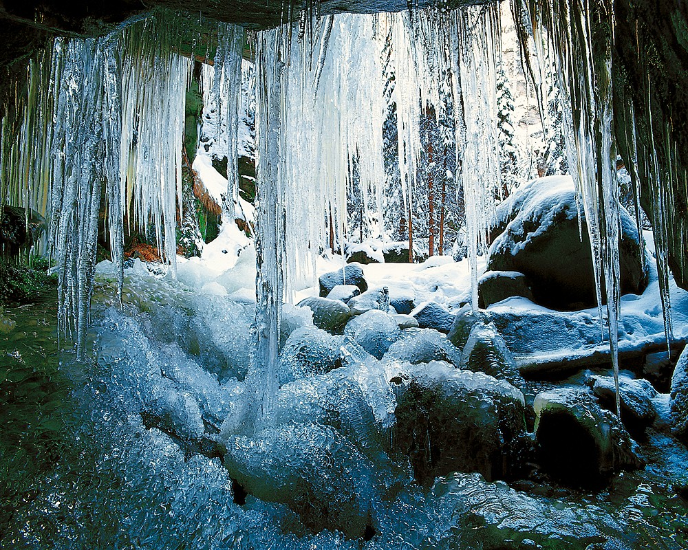 9_Ledy_kopie-830-1100-800-100-c