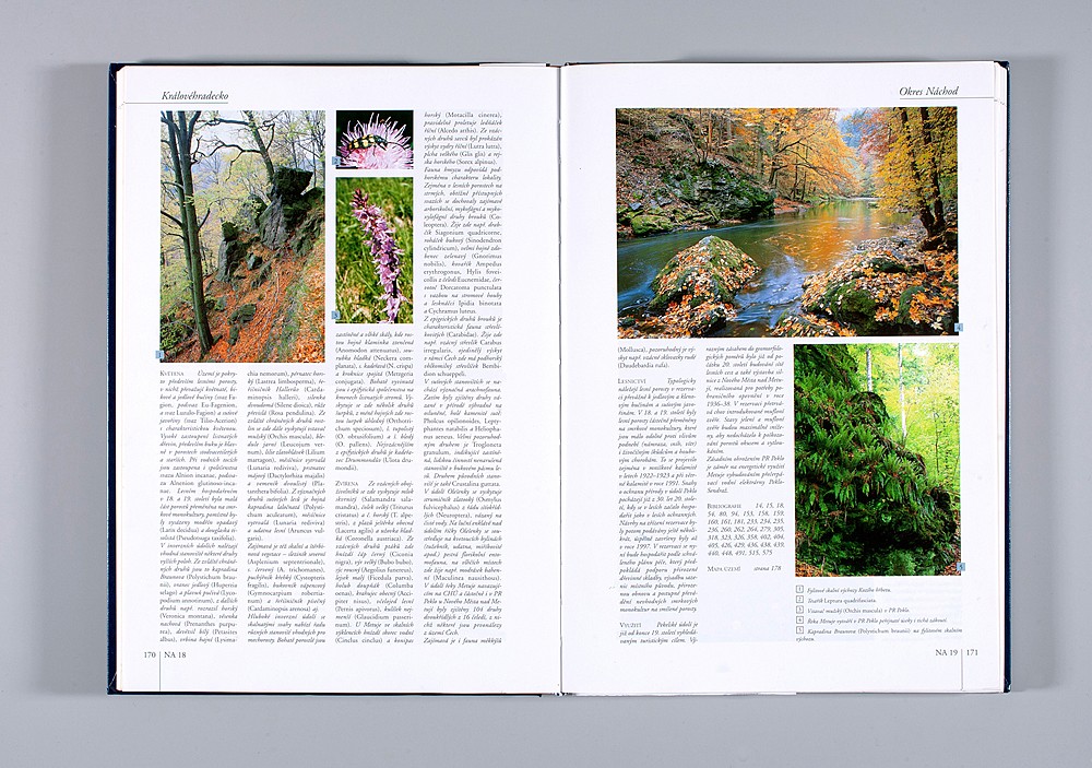 11__MG_7744_kopie-922-1100-800-100-c